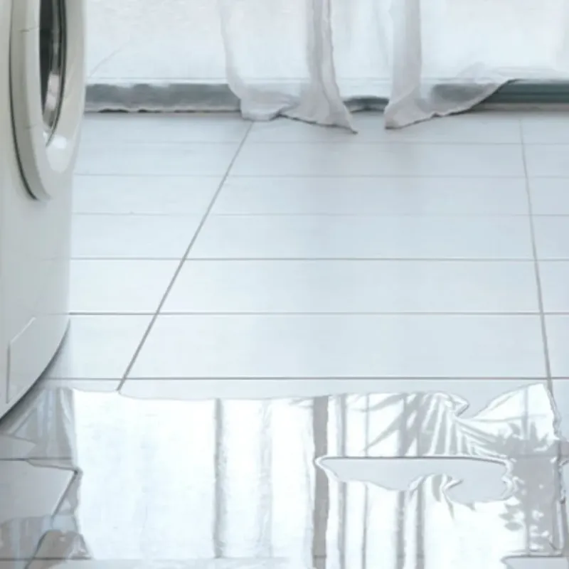 Appliance Leak Cleanup in Monmouth, OR