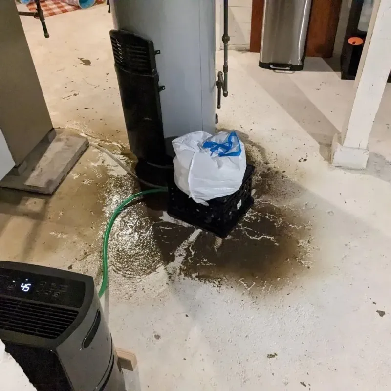 Sewage Backup Cleanup Service in Monmouth, OR